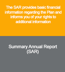 Summary Annual Report Link